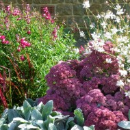 Autumn colours for a garden design