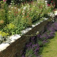 Herbaceous Border