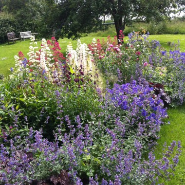 A Herbaceous Border