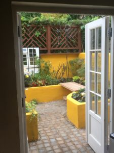 Garden brightening kitchen
