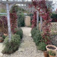 Pergola in Winter