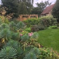 Garden Room blending into garden