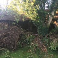 Back of old Barn before landscaping