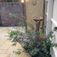 Bird Bath area of interest in small town garden in Bicester