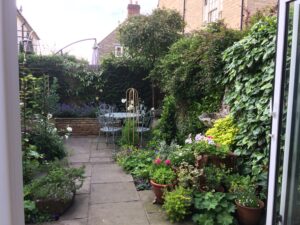 Small Courtyard Garden