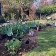 Planting Border